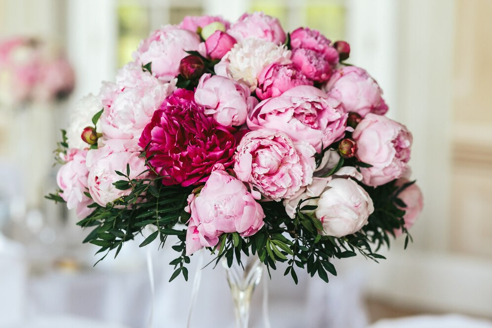The Meaning of Peonies