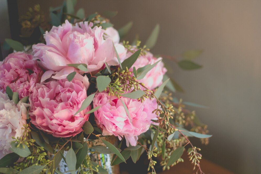 Peonies Variety