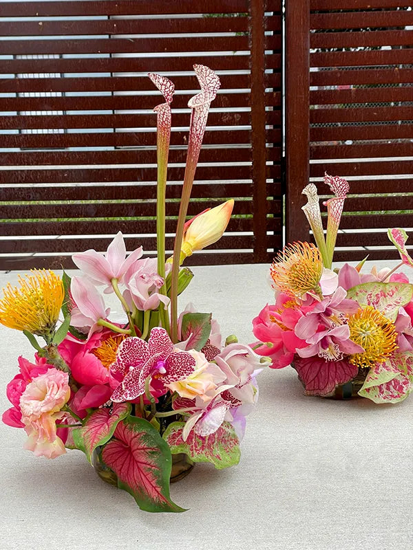 Tropical flowers with pink, yellow & pitcher plants