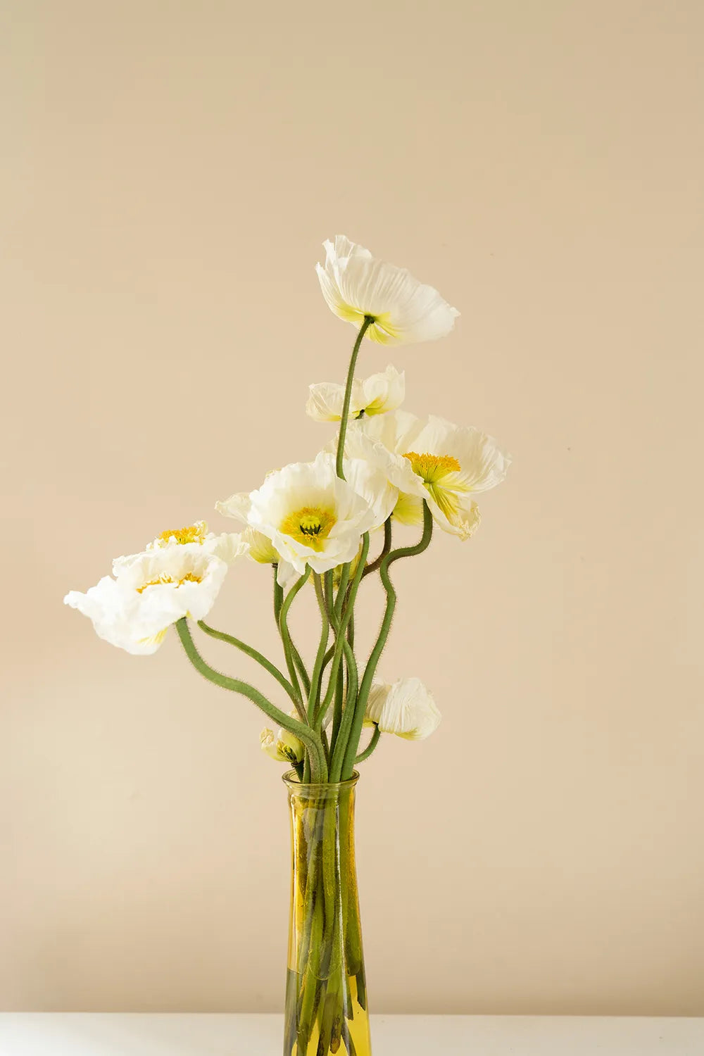 White poppies in a yellow-tinted vase